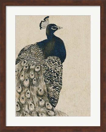 Framed Textured Peacock I Print