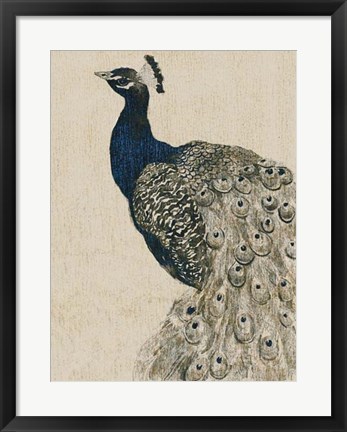 Framed Textured Peacock II Print