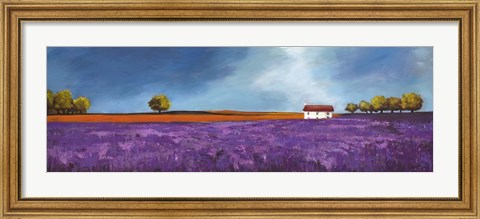 Framed Field of Lavender II Print