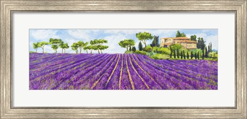 Framed Campagna Provenzale Print