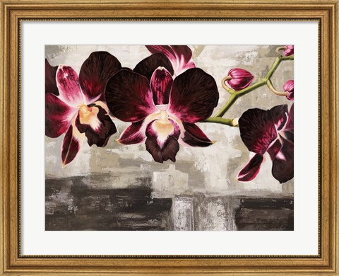 Framed Velvet Orchids Print