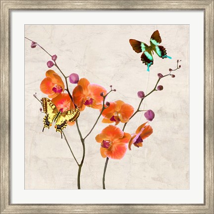Framed Orchids &amp; Butterflies I Print
