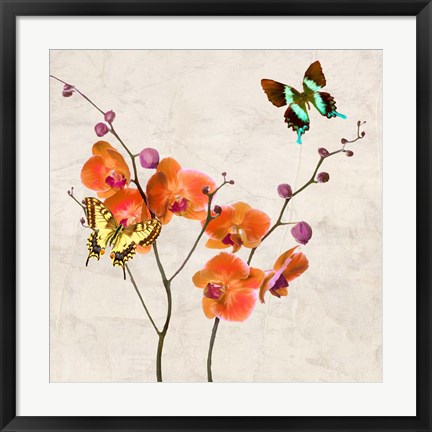 Framed Orchids &amp; Butterflies I Print