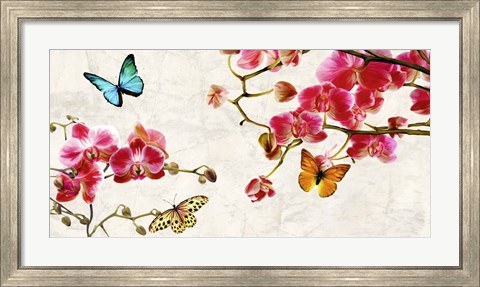 Framed Orchids &amp; Butterflies Print