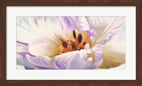 Framed Tulipe Print