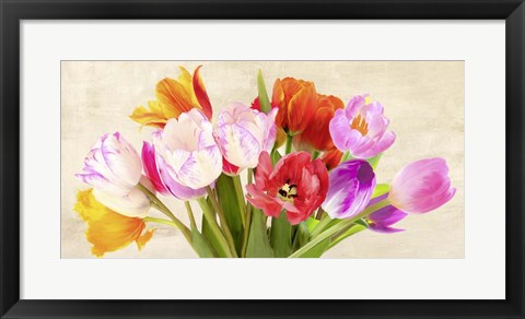 Framed Tulips in Spring Print