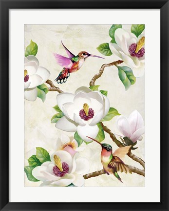 Framed Magnolia and Humming Birds Print