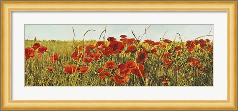 Framed Poppy Field Print
