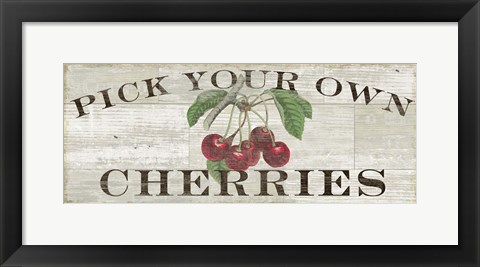 Framed Farm Fresh Cherries Print