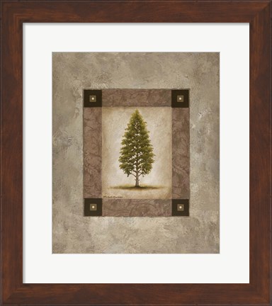 Framed European Pine I Print