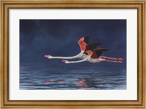 Framed Flying Flamingos Print