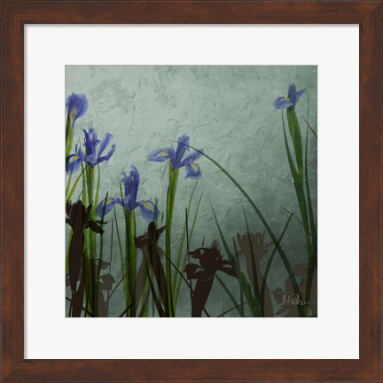 Framed Blue Irises II Print