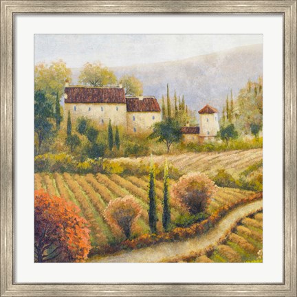 Framed Tuscany Vineyard I Print