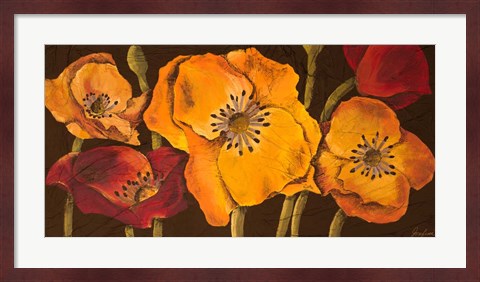 Framed Dazzling Poppies II (black background) Print
