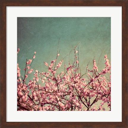 Framed Springtime II Print