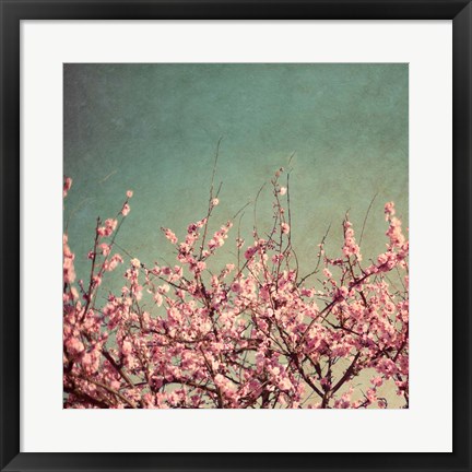 Framed Springtime II Print
