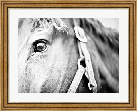 Framed Horseback Riding Print