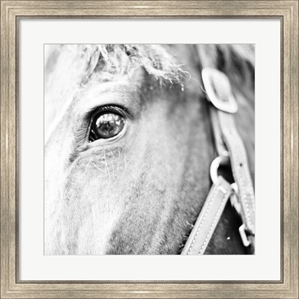 Framed In the Stable I Print