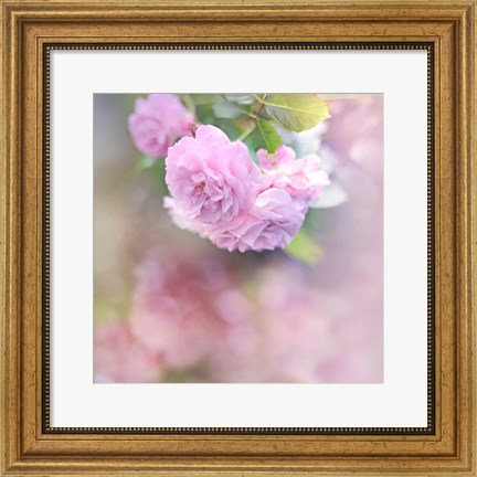 Framed Graceful Floral Print