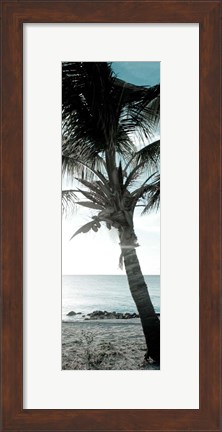 Framed Cool Bimini Palm I Print