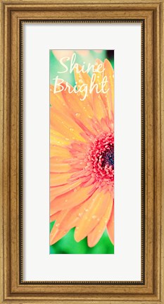 Framed Shine Bright Daisy Print
