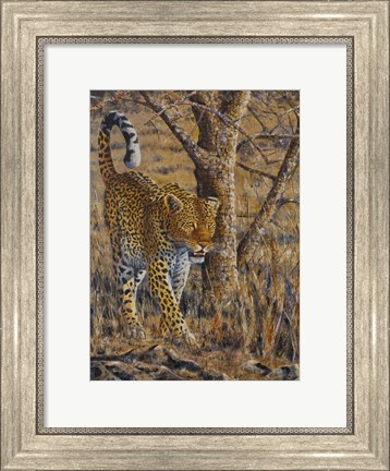 Framed Leopard Walking Print
