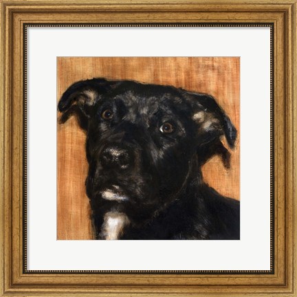 Framed Puppy Dog Eyes I Print