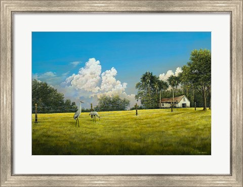 Framed Crane Field Print