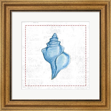 Framed Navy Conch Shell on Newsprint with Red Print