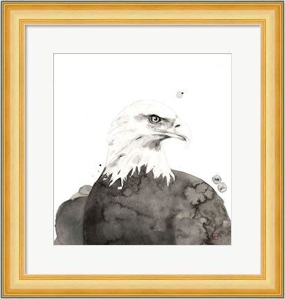 Framed Eagle Print