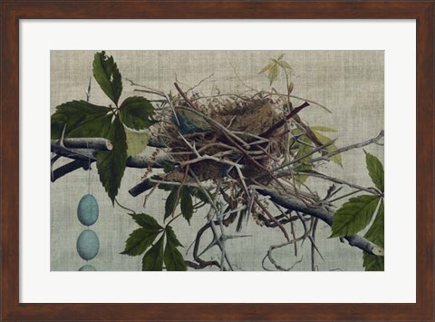 Framed Nesting I Print