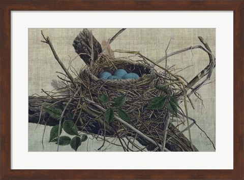 Framed Nesting II Print