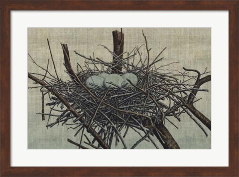 Framed Nesting IV Print
