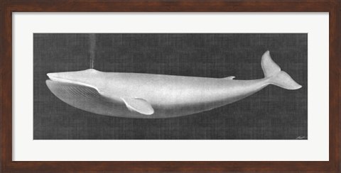 Framed Whale Watching I Print