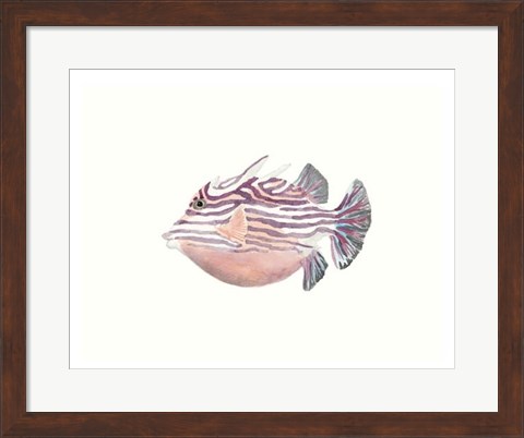 Framed Watercolor Tropical Fish II Print