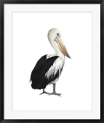 Framed Sea Bird IV Print