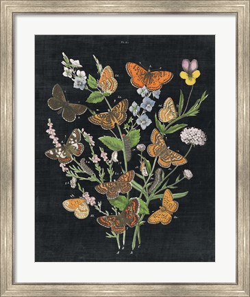 Framed Butterfly Bouquet on Black I Print