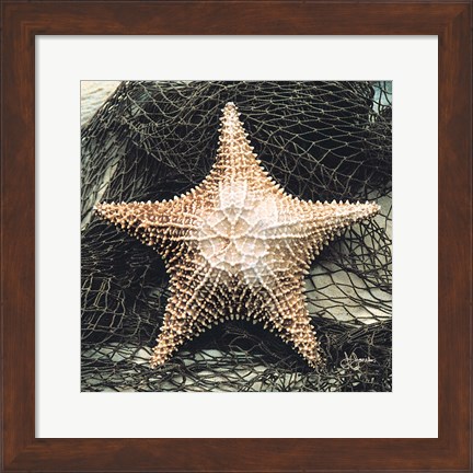 Framed Starfish with Net Print