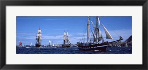 Framed Tall Ships, Brittany, France Print