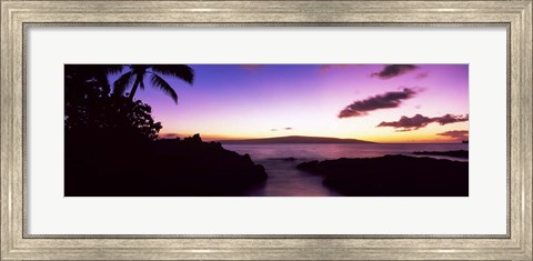 Framed Palm Trees at Dusk, Maui, Hawaii, USA Print