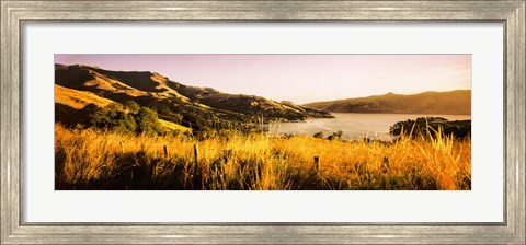 Framed Akaroa Harbour, Banks Peninsula, New Zealand Print