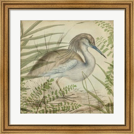 Framed Heron &amp; Ferns II Print