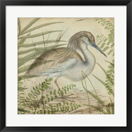 Framed Heron &amp; Ferns II Print