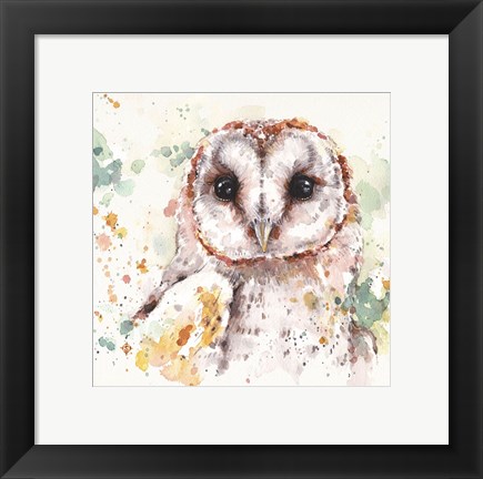 Framed Australian Barn Owl Print