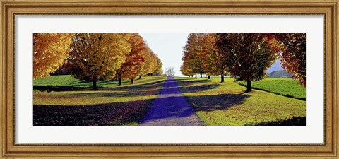 Framed Autumn Road, Storm King Mountain, New York Print