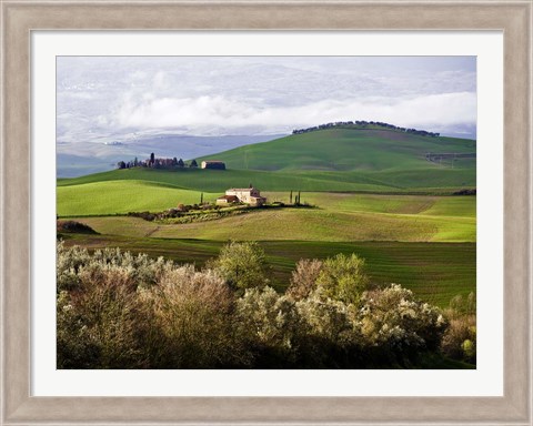 Framed Tuscan Countryside Print