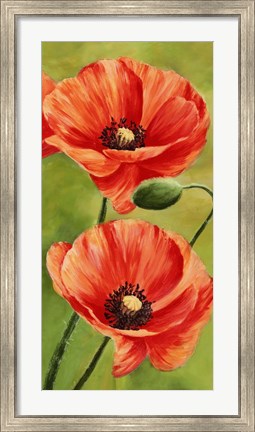 Framed Poppies in the Wind II Print