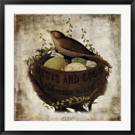 Framed Nest &amp; Eggs Print