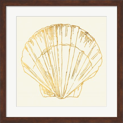 Framed Coastal Breeze Shell Sketches V Print