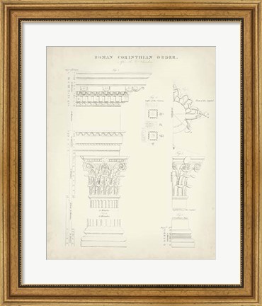 Framed Greek &amp; Roman Architecture II Print